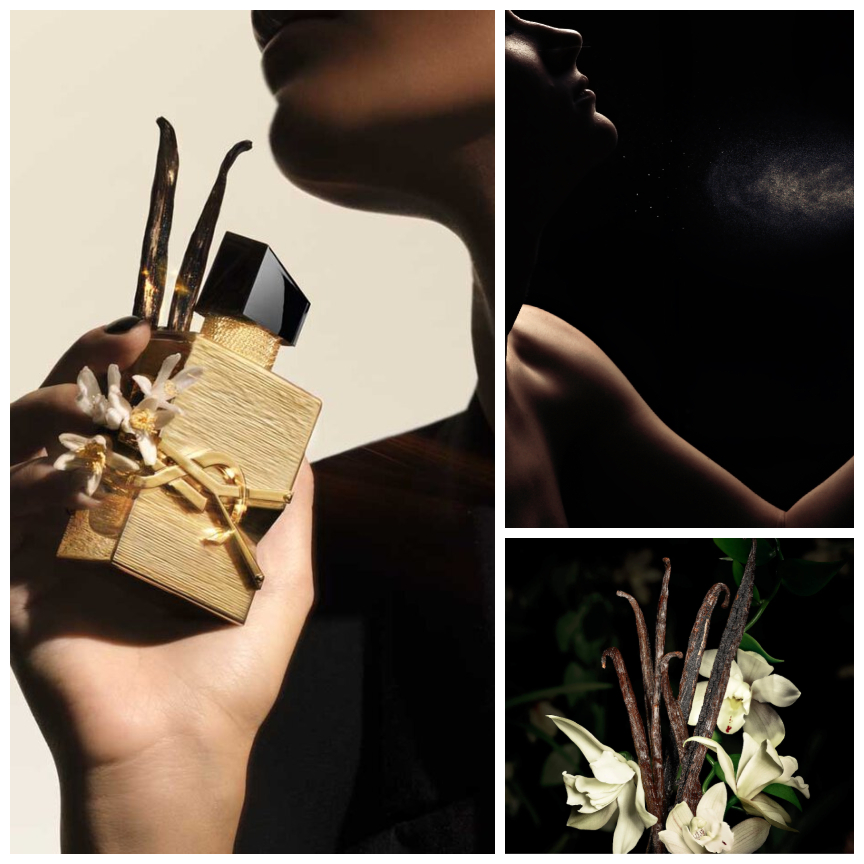ysl fragrances